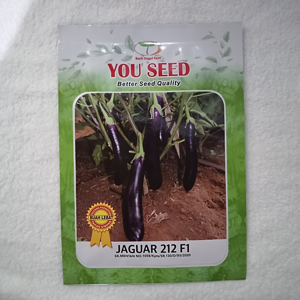 Benih SP Terong Ungu JAGUAR 212 F1 isi 500 Bjii Bibit You Seed Small Pouch