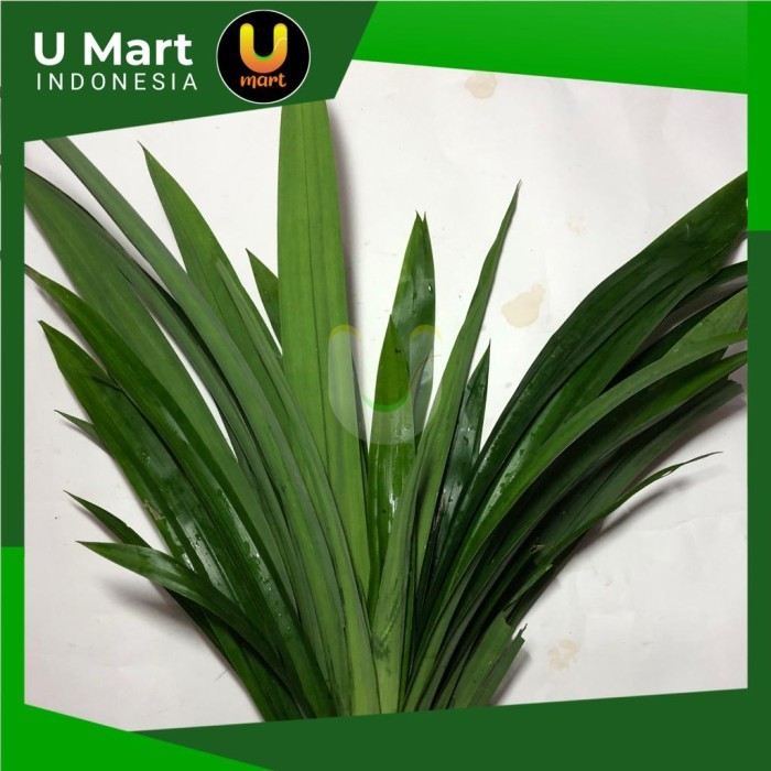 

U Mart - Daun Pandan Segar 1 ikat