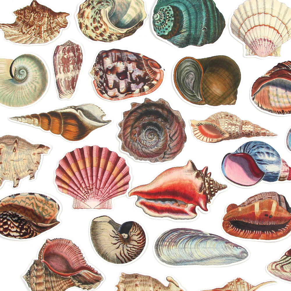 

Vintage Conch Shell Sticker Label Scrapbooking Marine Life Stationery Stickers For Children Decorative Diary Album