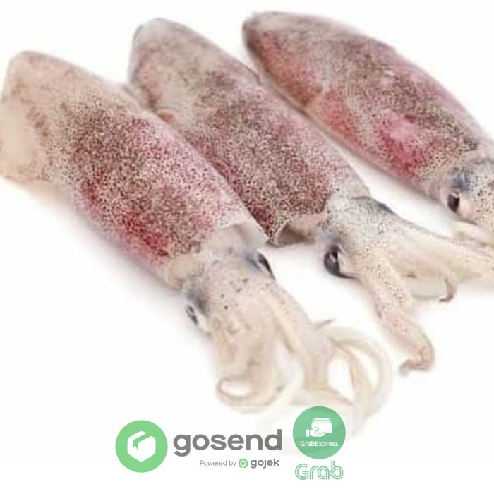 

CUMI BASAH CANTIK SEGAR (500 GRAM) - 250 Gram, Kecil