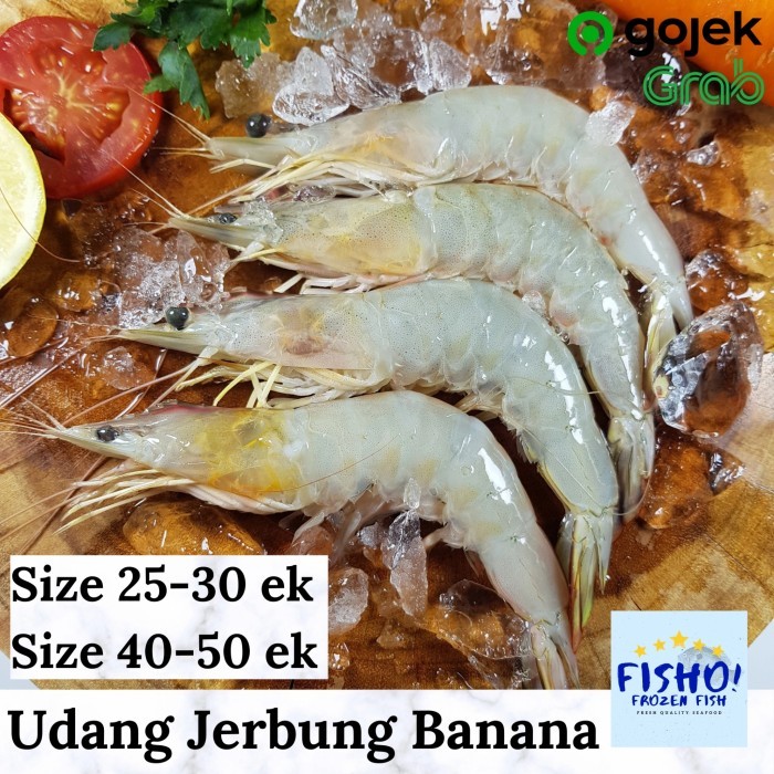 

UDANG JERBUNG JUMBO SIZE 20-30 EKOR FROZEN SEGAR (500GR) - M 50-60ekor/kg, 1 kg