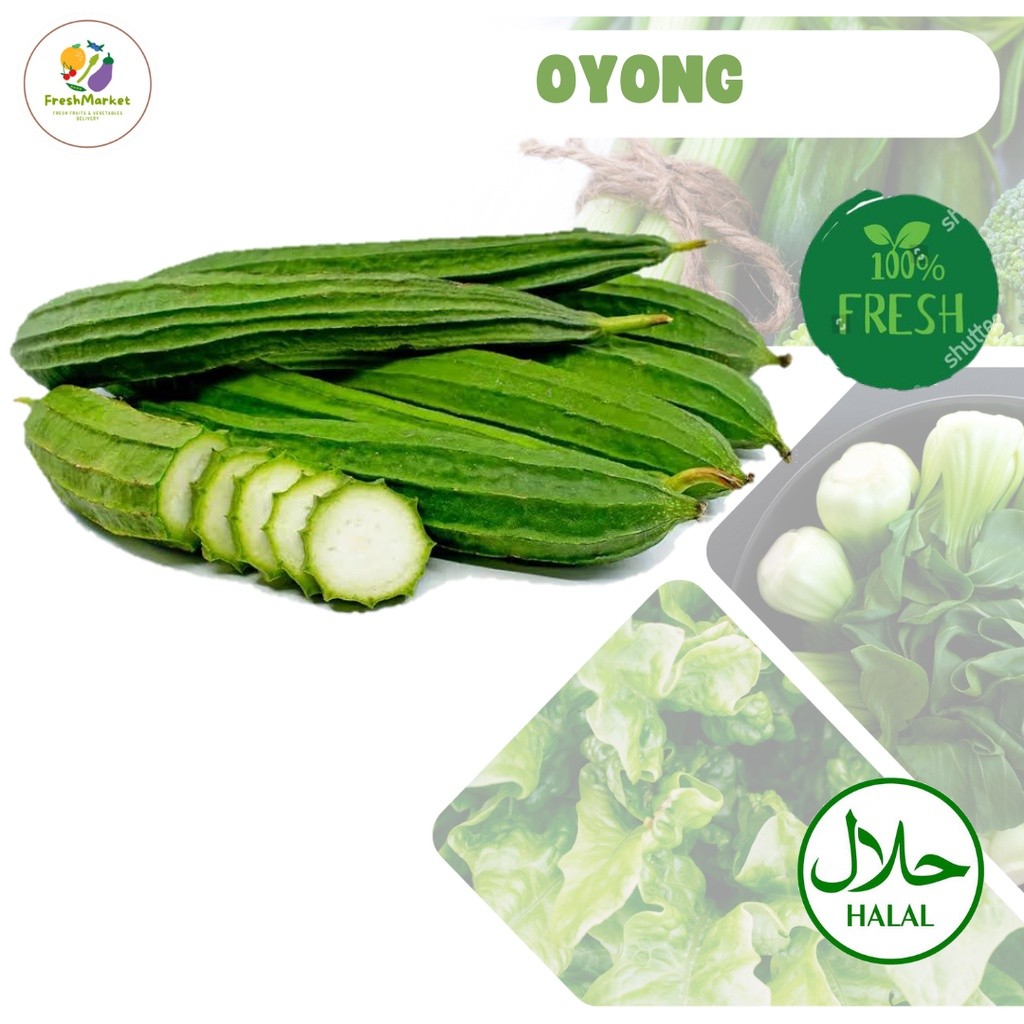 

Oyong Sayur Gambas Sayuran Segar 1 kg Sayurinstant