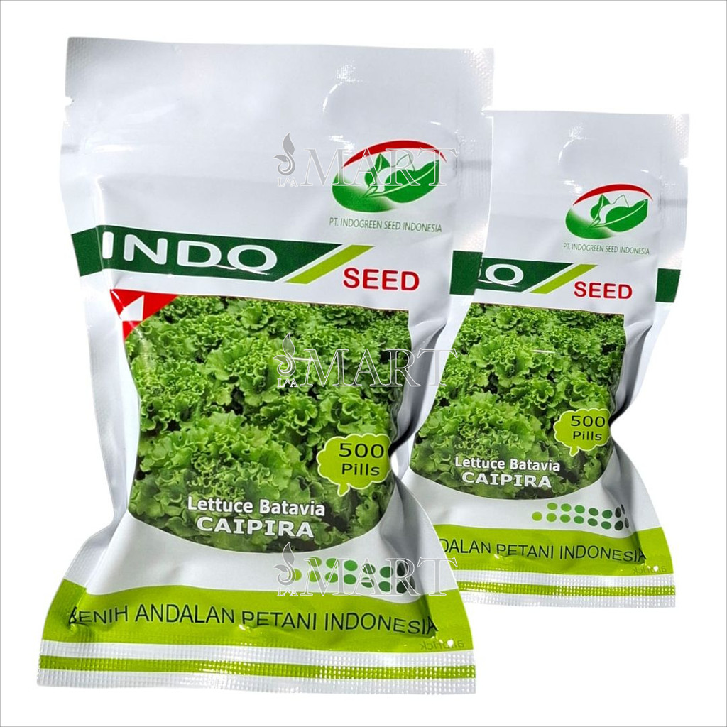 Benih Selada Caipira Isi 500 Pills Lettuce Batavia Indo Seed