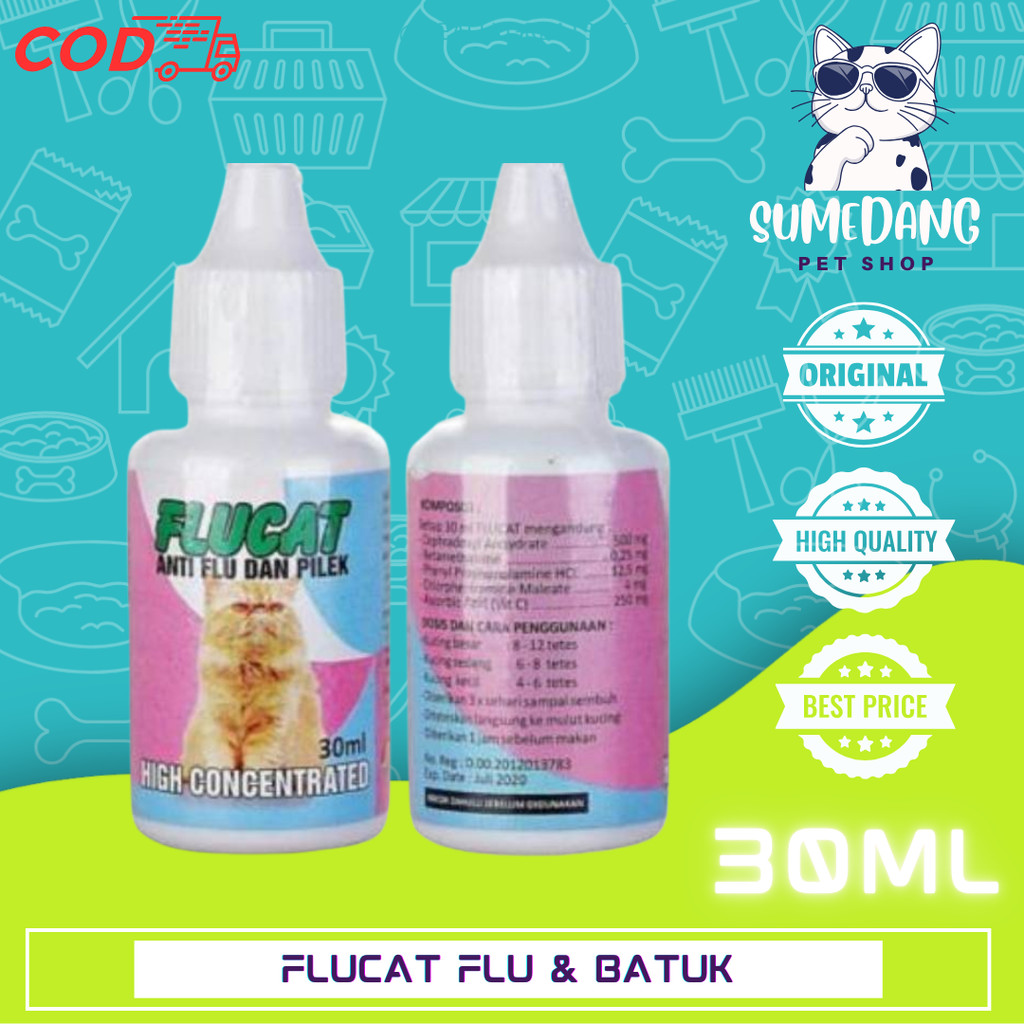 FLUCAT / FLU CAT obat flu pilek batuk pada kucing