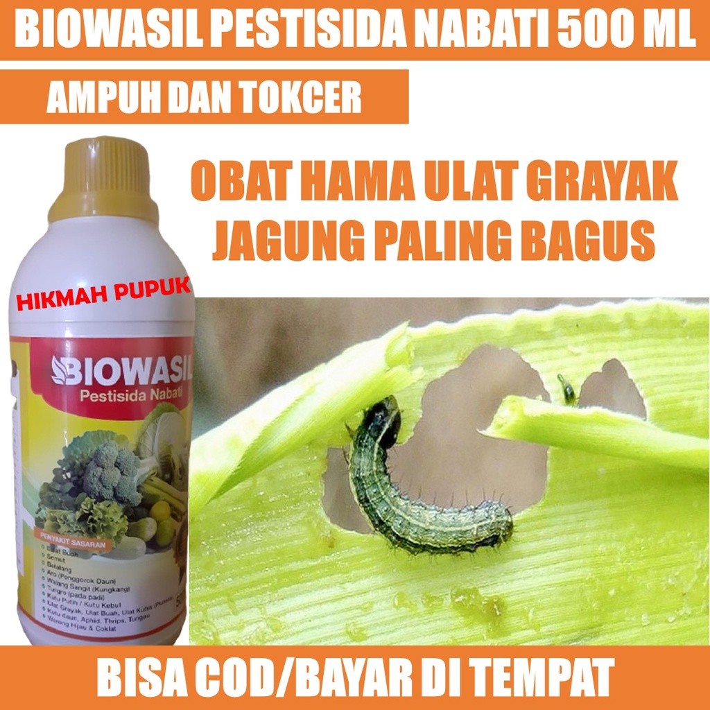 {TERLARIS} BIOWASIL 500 ML PESTISIDA HAMA ULAT GRAYAK JAGUNG, CABE, LABU SIAM, MANGGA Obat Ulat Sayu