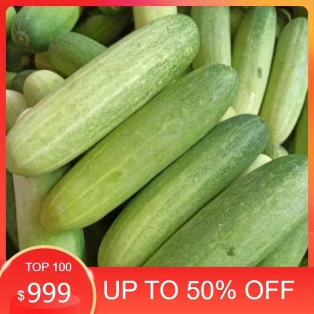 

LBJ Timun Lalaban Super Fresh 1kg