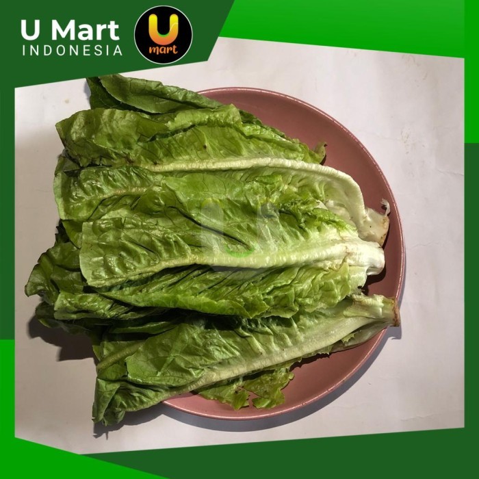 

U Mart - Romaine Lettuce / Selada Romaine 500 gram