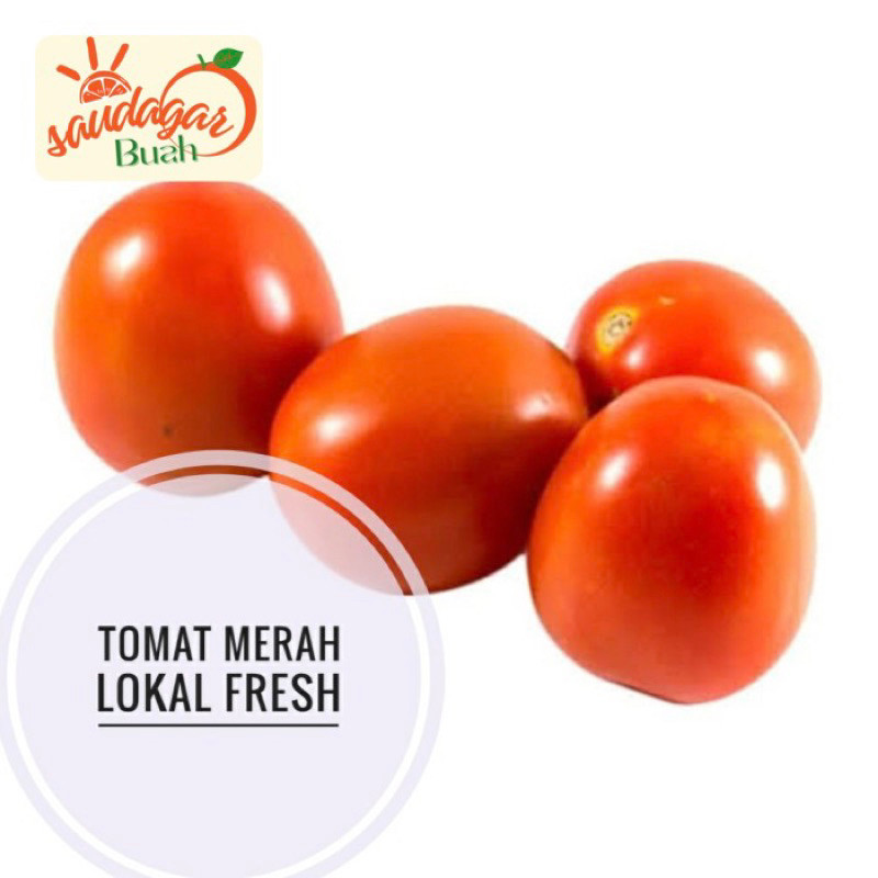 

UD BUAH 3 SAUDARA TOMAT MERAH LOKAL SUPER TOMAT SUPER ORGANIK