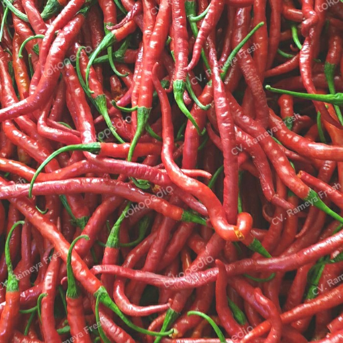 

CABE / CABAI MERAH KERITING 1000 gr - Pakai Tangkai