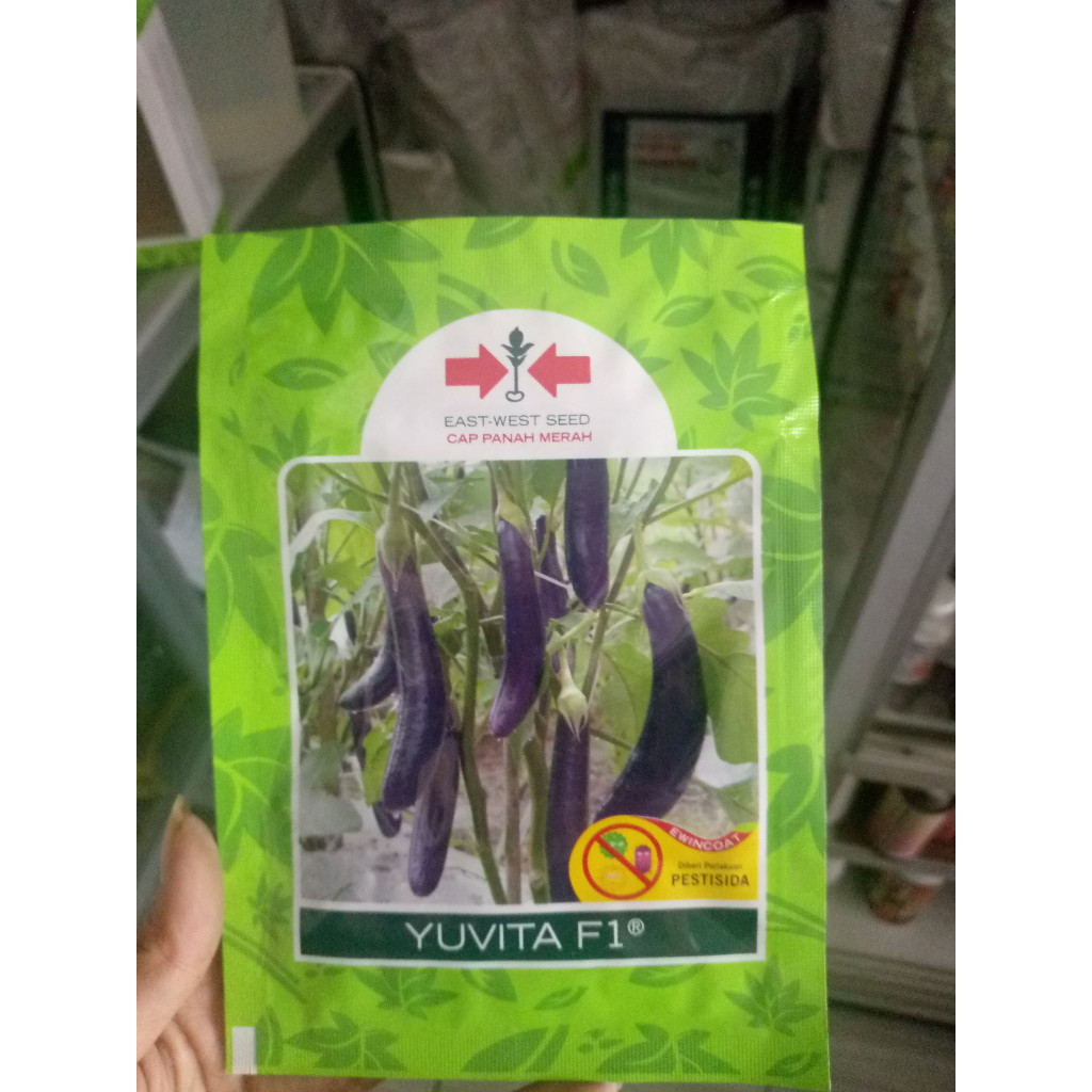 Benih terong ungu YUVITA F1 Cap Panah Merah