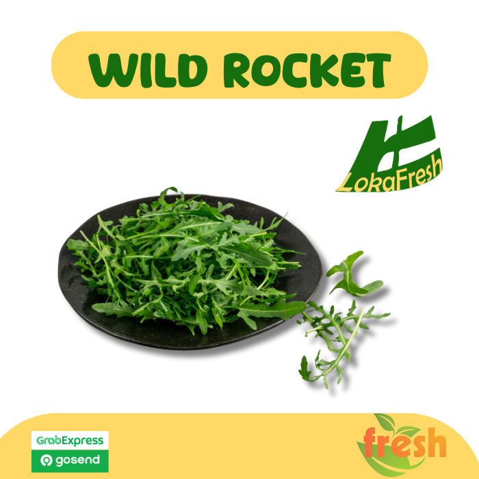 

Arugula Wild Rocket Lettuce Fresh 250gram