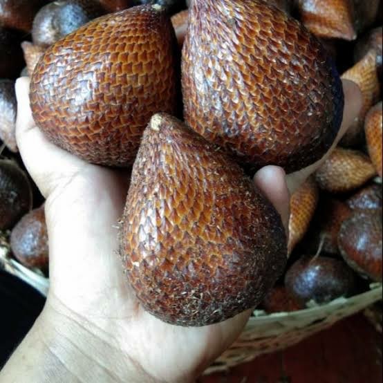 

Savina Buah88 Buah Salak Pondoh (Grade A) [KHUSUS INSTANT DAN SAMEDAY]