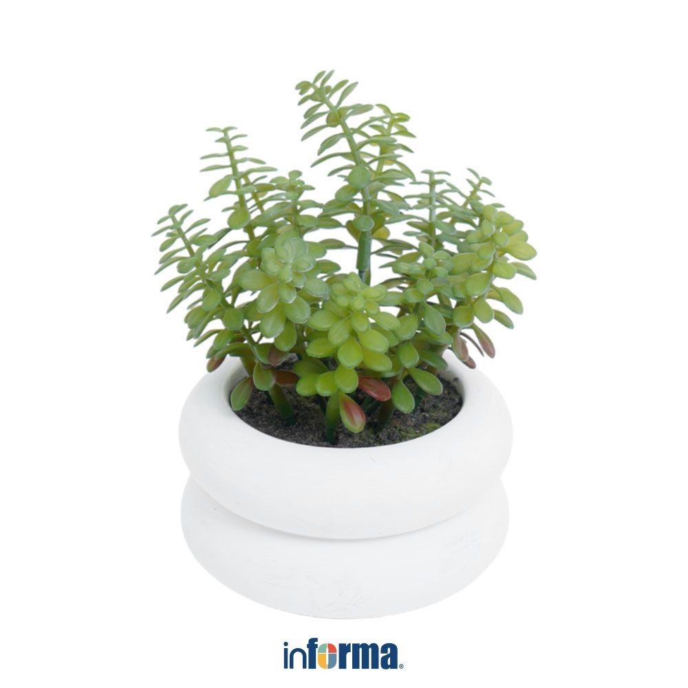 Informa 15.24 cm Tanaman Artifisial Sukulen H27 - Hijau Tumbuhan Tanaman Buatan Dekorasi Plant Sinte
