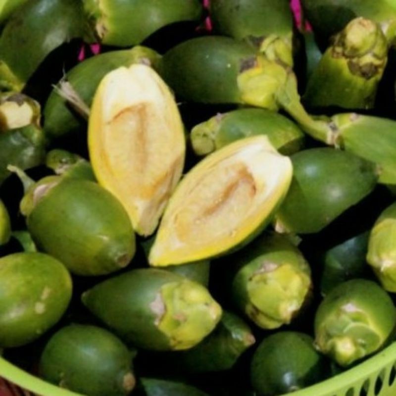 

New Promo Jame/buah pinang muda/jambe muda/segar COD