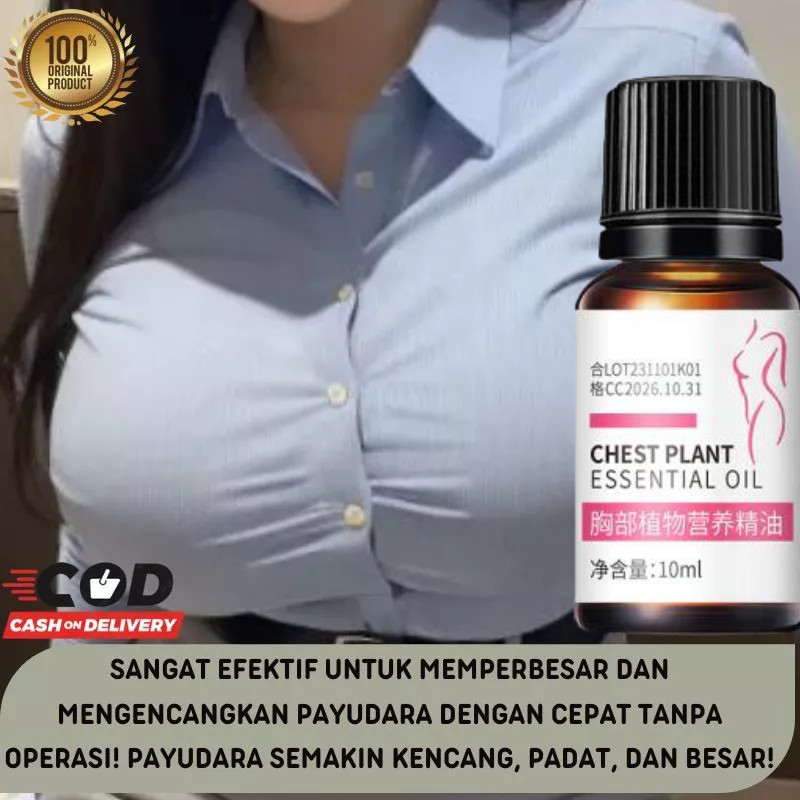 Obat pembesar payudara Pembesar payudara ampuh Serum pembesar payudara Minyak pembesar payudara 10ml