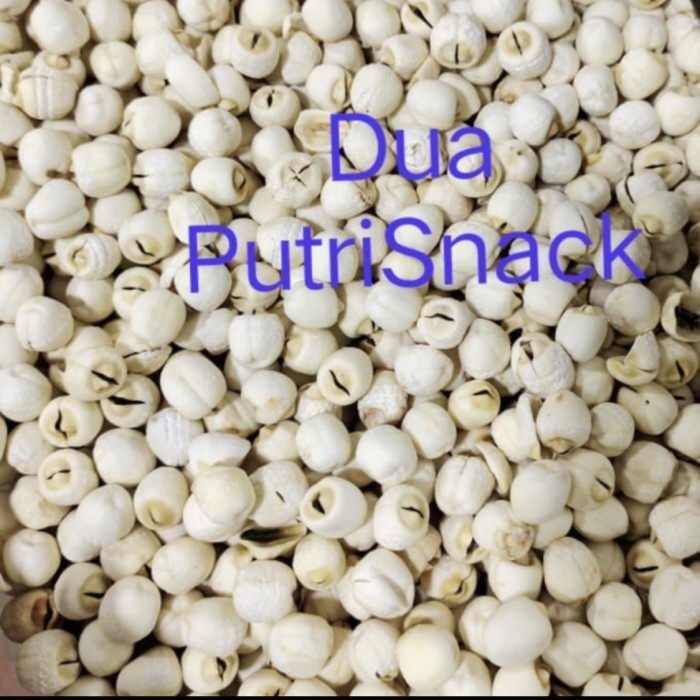

biji teratai super 250gr