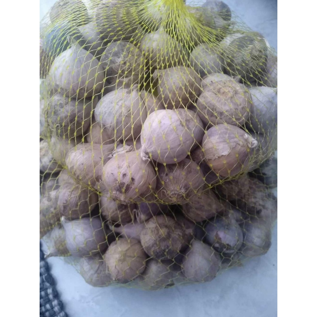 

Promo Bawang putih tunggal Besar bawang lanang premium import - 260grm, kecil terlaris