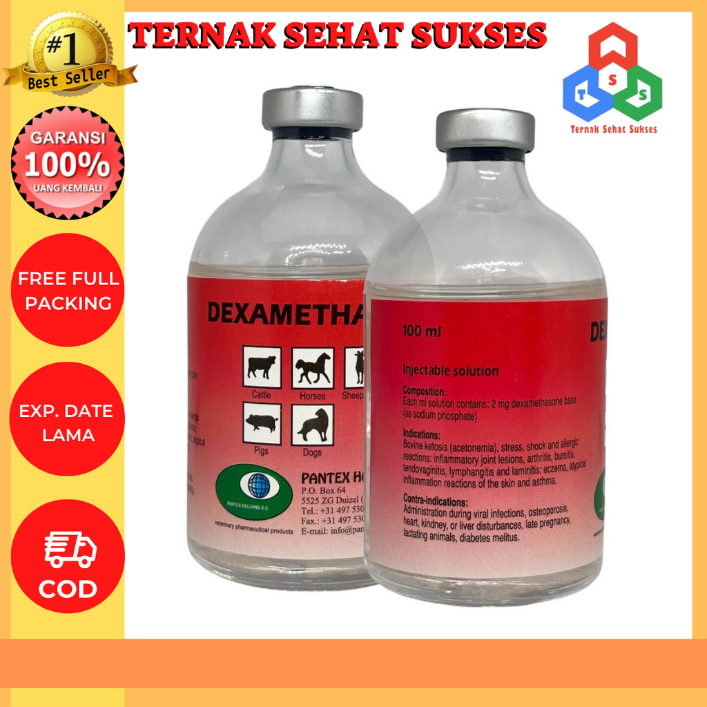 Dexamethasone (Pantex Holland) TSS1