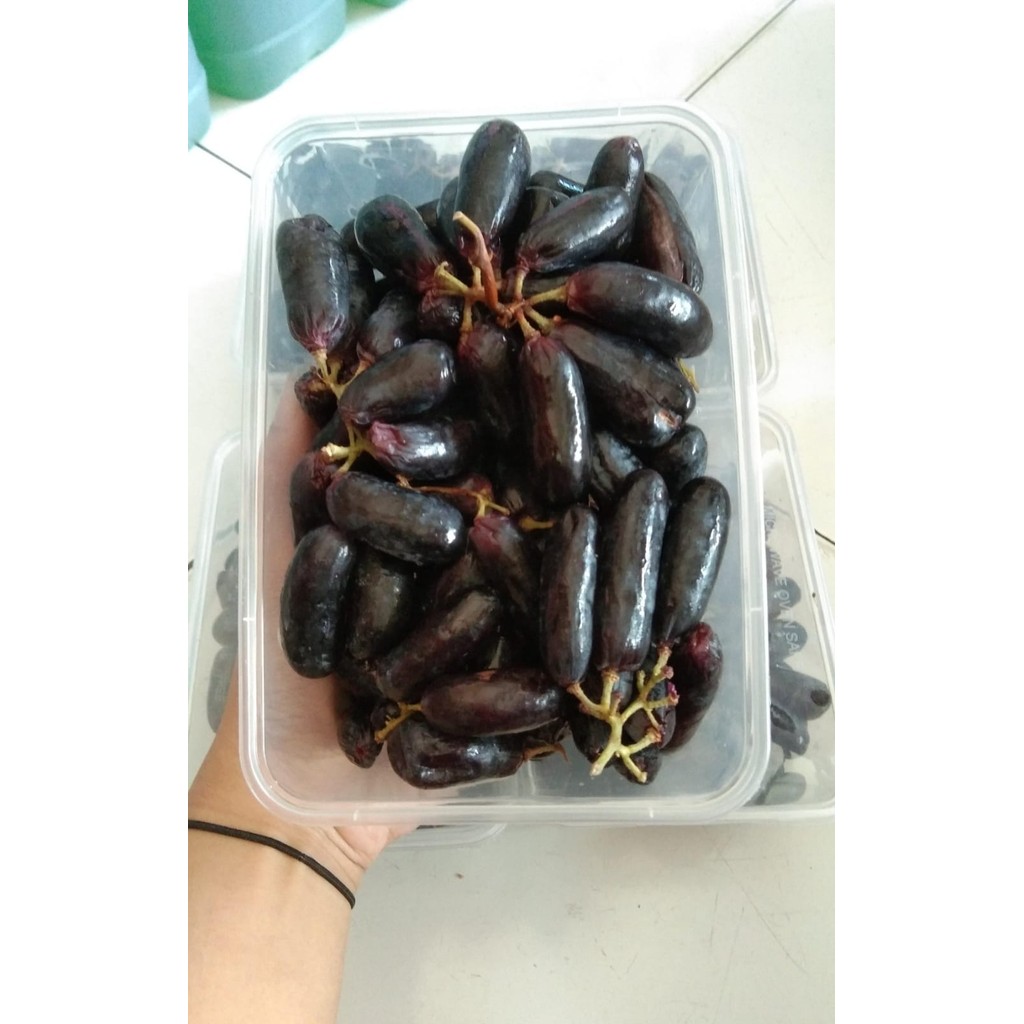 

Anggur jari ukuran 800-900gr