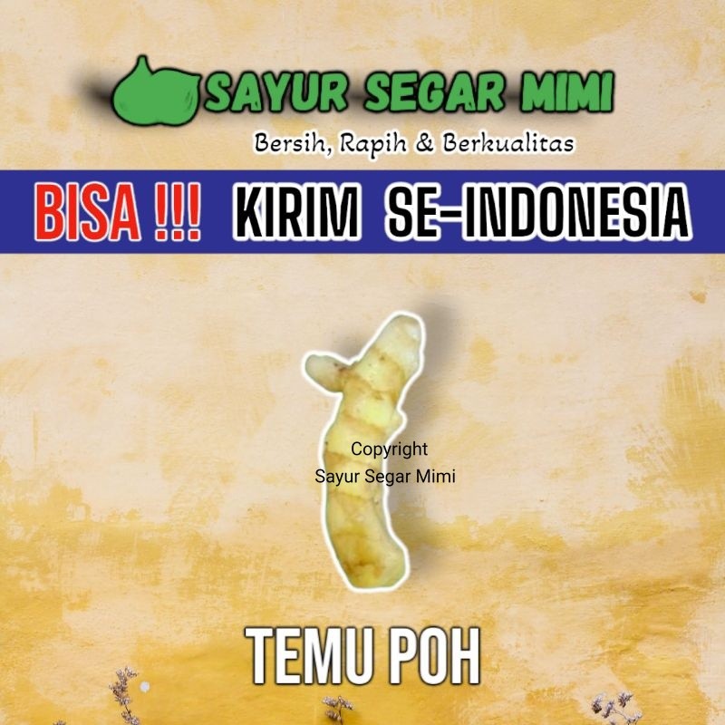 

Temu Poh 500Gram - Sayur Palembang