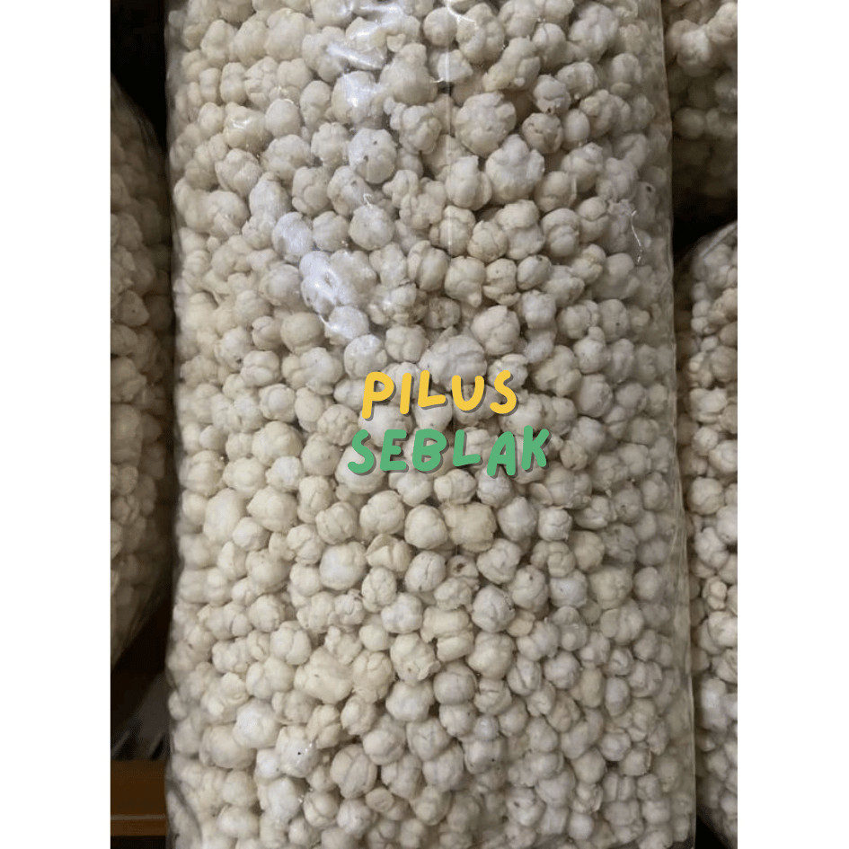 PROMO cikur kencur cikur pilus cikur 1kg cikur seblak