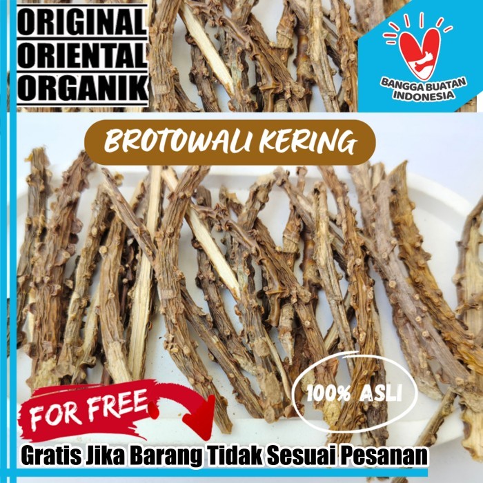 

Brotowali Kering 1 Kg Organik Murni Kemasan Plastik PE Tebal Hasil Bumi Indonesia