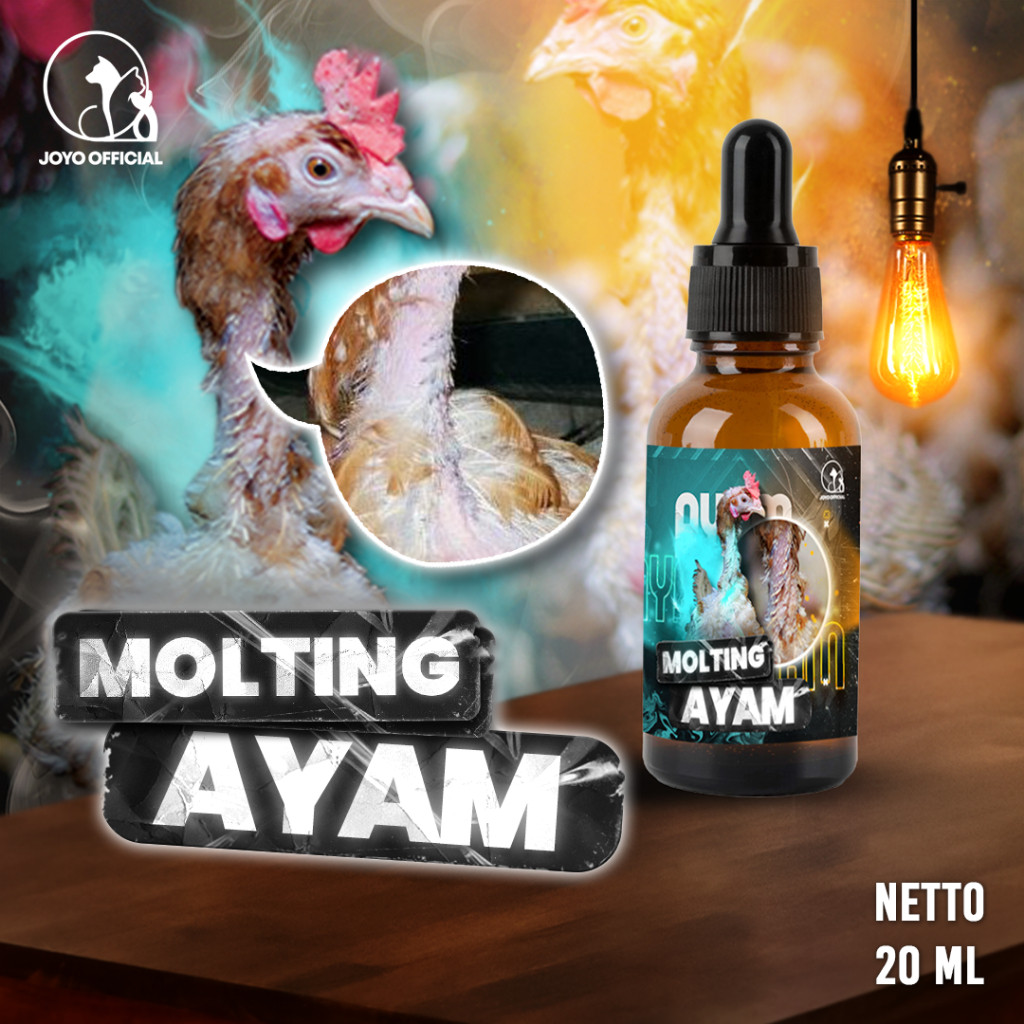 VITAMIN AYAM MABUNG | MENGATASI BULU TIDAK TUNTAS | MOLTING | GAGAL MABUNG | PERCEPAT RONTOK BULU TU