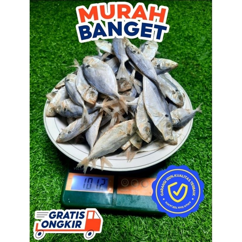 

TERLARIS Ikan Asin Selar Berkualitas Netto 1kg Size 10Cm/Ekor