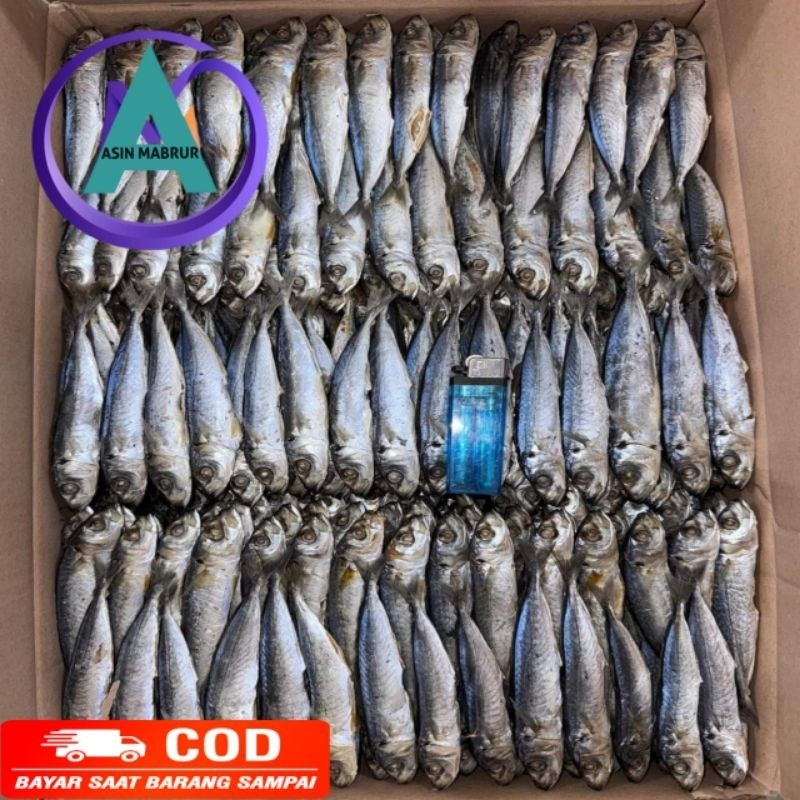 

TERLARIS Ikan Asin Enak Ikan Asin Gurih Ikang Asin Layang Peda Buled Peda Enak Peda Buled Ikan Asin Segar
