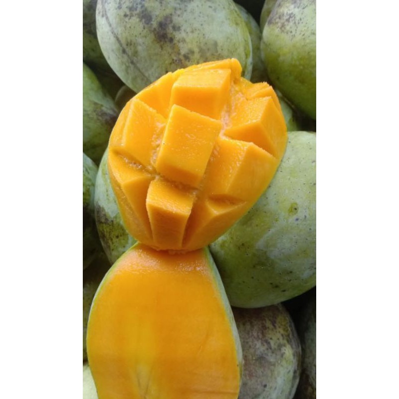 

buah mangga matang / Mateng manis 500gram