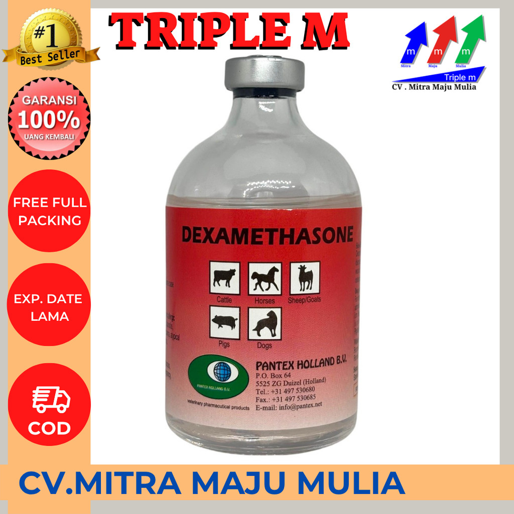 Dexamethasone (Pantex Holland)