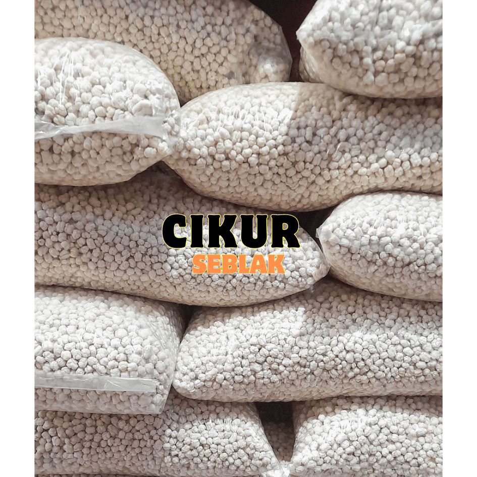 

PROMO TERMURAH pilus cikur pilus pilus pedas pilus kencur cikur kencur cikur pilus cikur 1kg cikur seblak