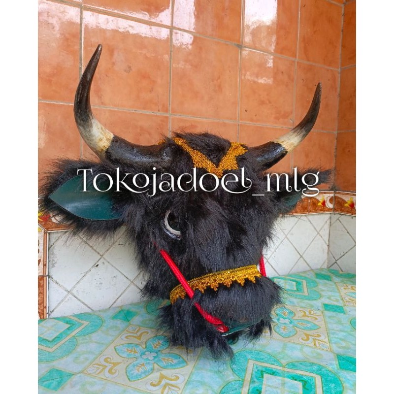 __)) bantengan tanduk asli