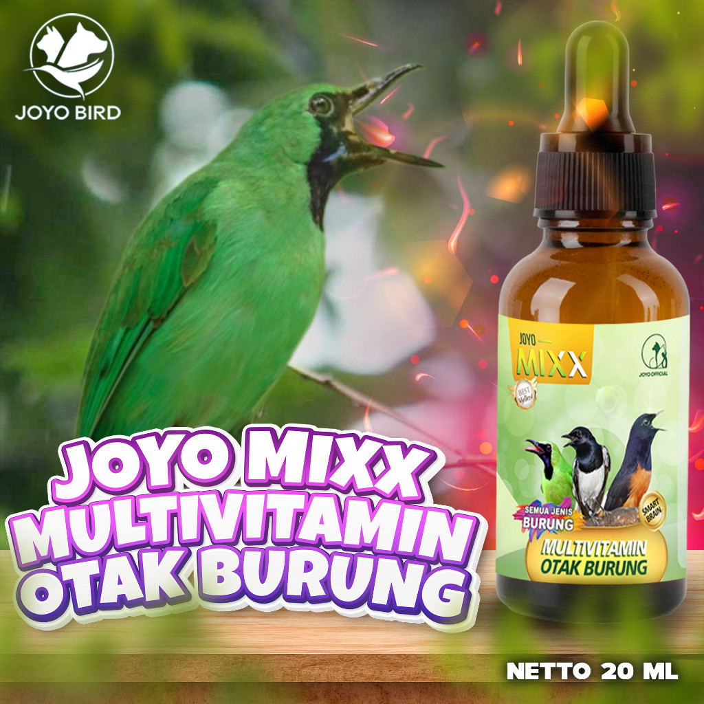 VITAMIN OTAK | MULTIVITAMIN OTAK | VITAMIN  BURUNG CERDAS & PINTAR | DAYA INGAT BURUNG | MIXX MULTIV