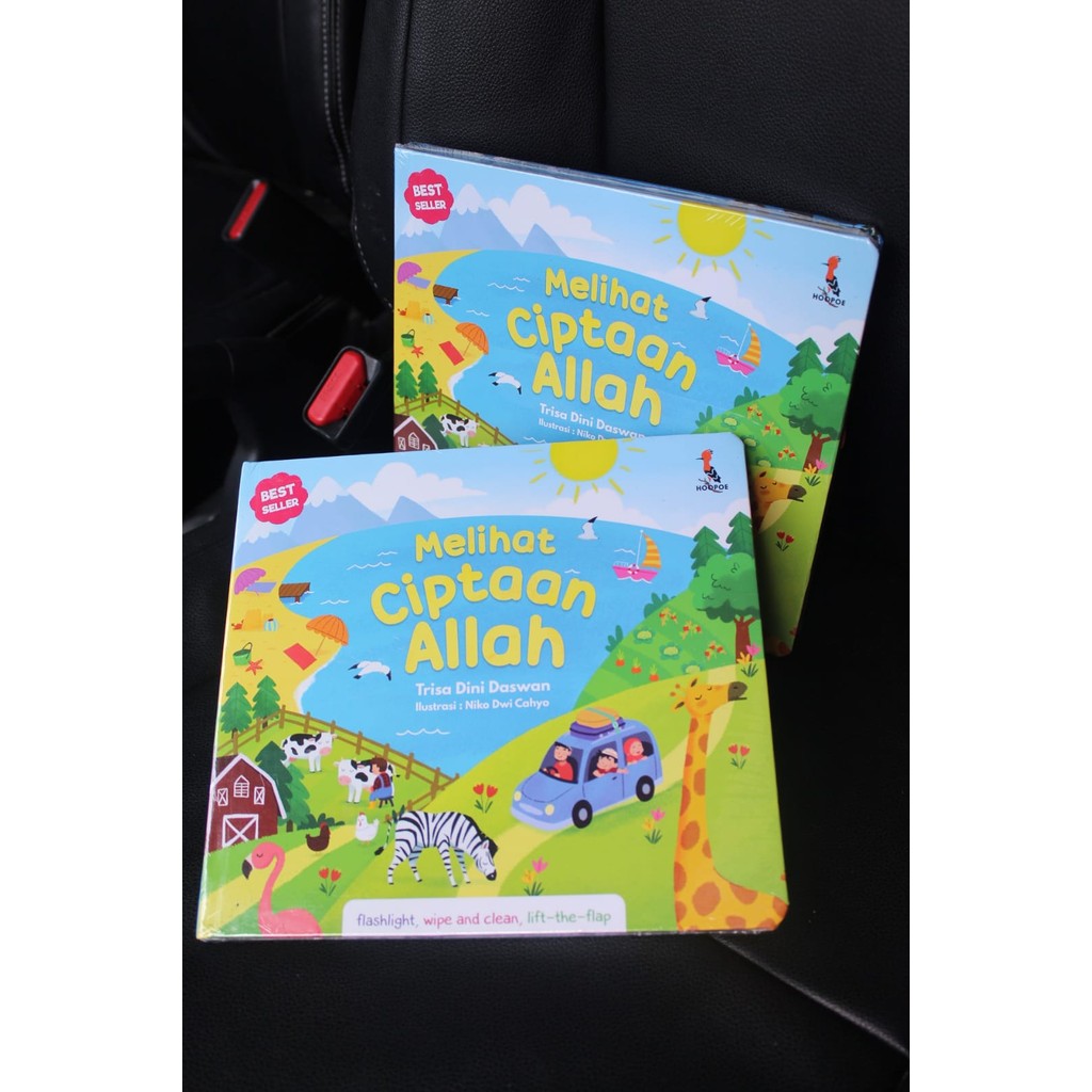 

Melihat Ciptaan Allah