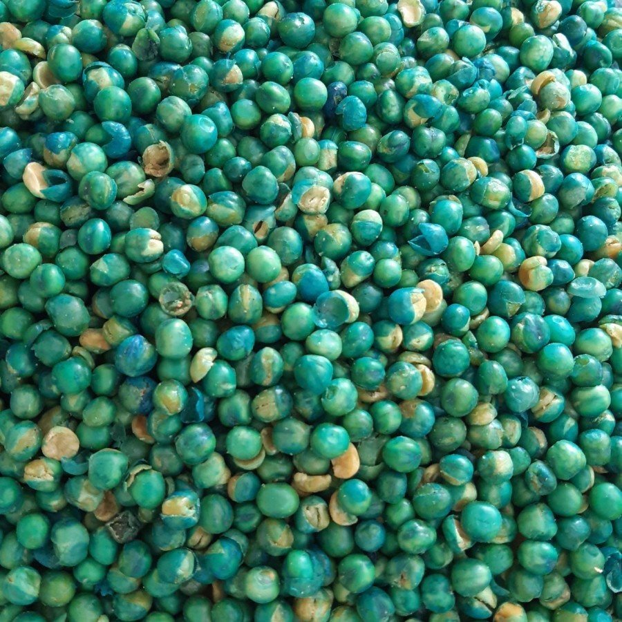 

BEST SELLER kacang bogor 1kg kacang polong ijo kacang kacangan kacang merah grosir Terbaru