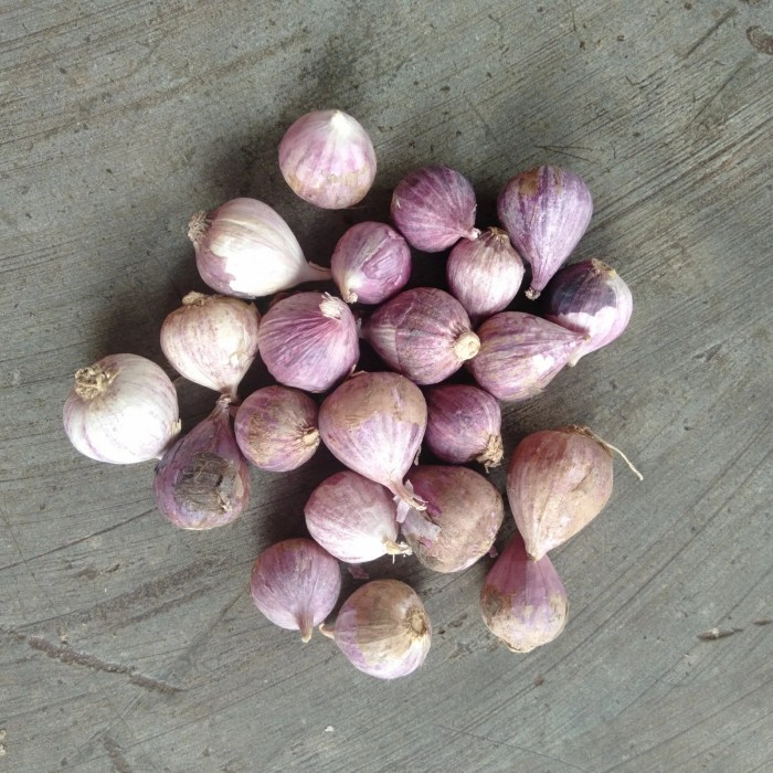 

Promo Bawang Putih Tunggal - Lanang 500 Gram - Kecil terlaris