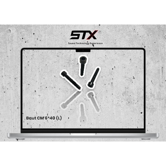 STX - Baut CM6*40 (L)
