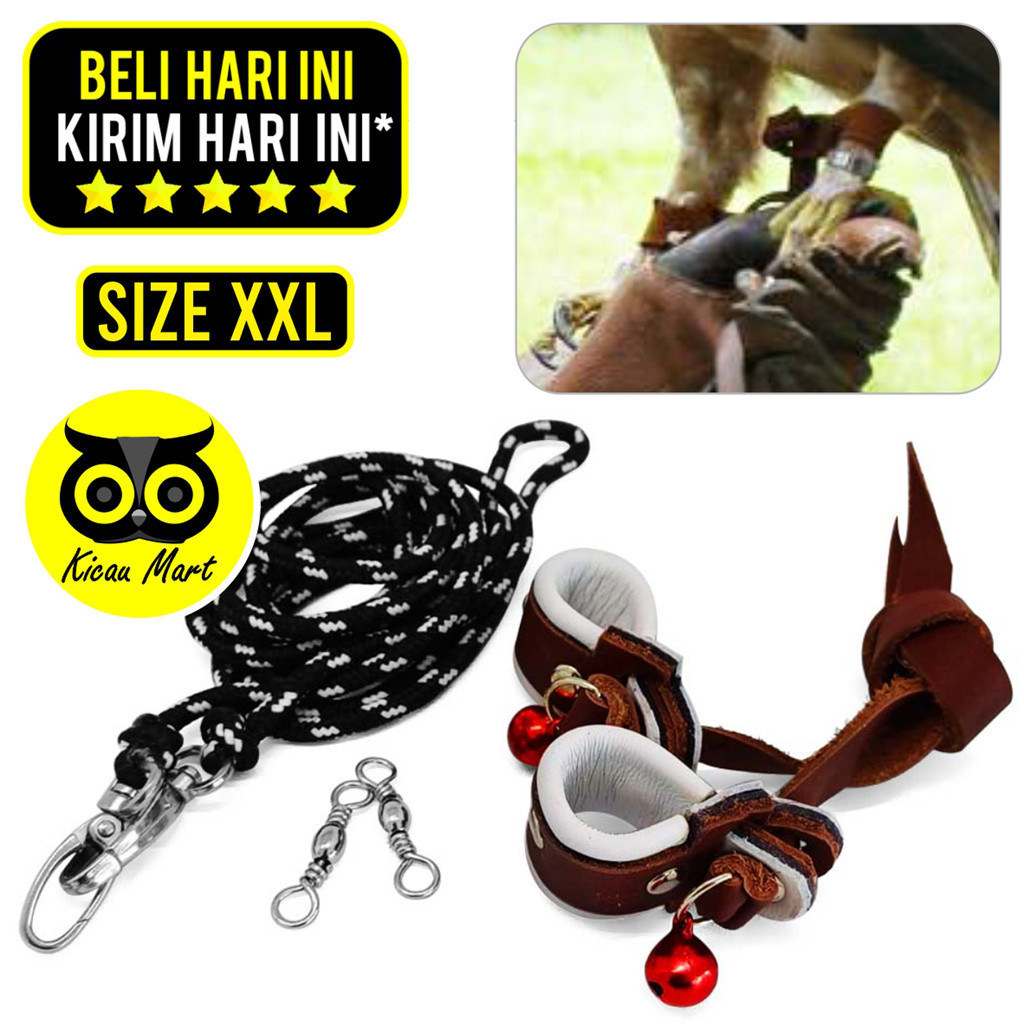 KICAU MART Angklet Celepuk XXL Tali Pikat Burung Anklet Tali Kaki Burung Hantu Elang DM CHE JHE BUBO
