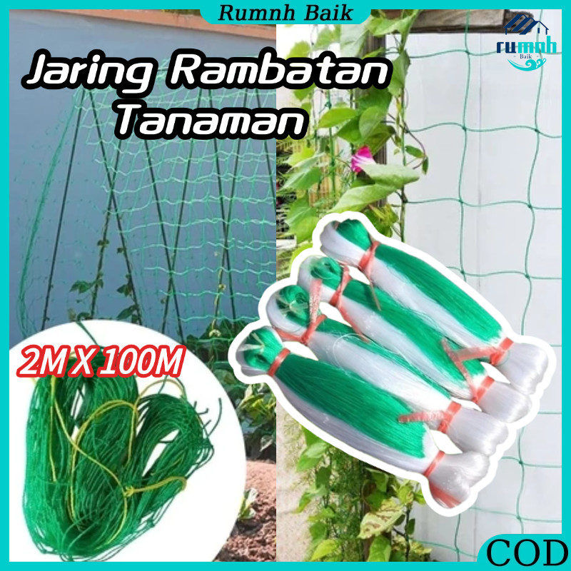Jaring Rambatan Tanamanbuah Plant Climbing Net