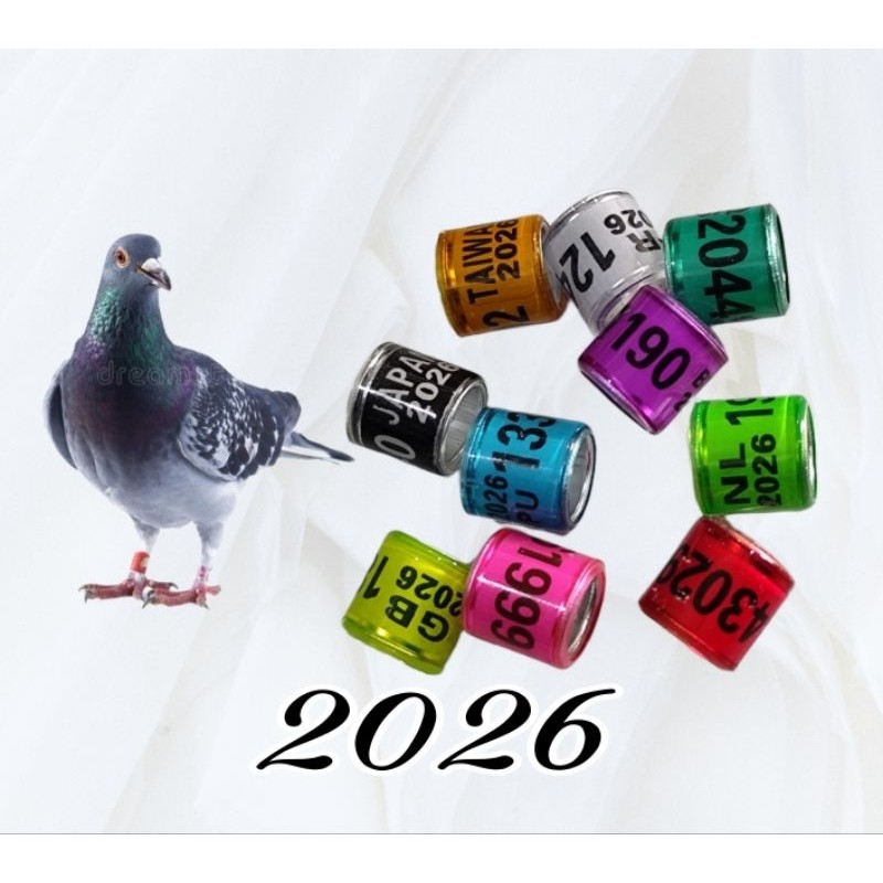 RING MERPATI POS IMPORT PIGEON 2026