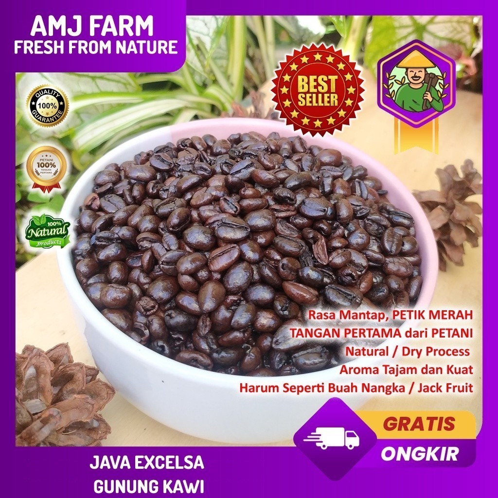 

1 Kg Kopi Excelsa / Arsisa / Arisa / Nangka Gunung Kawi Sangrai / Roasted Bean AMJ FARM