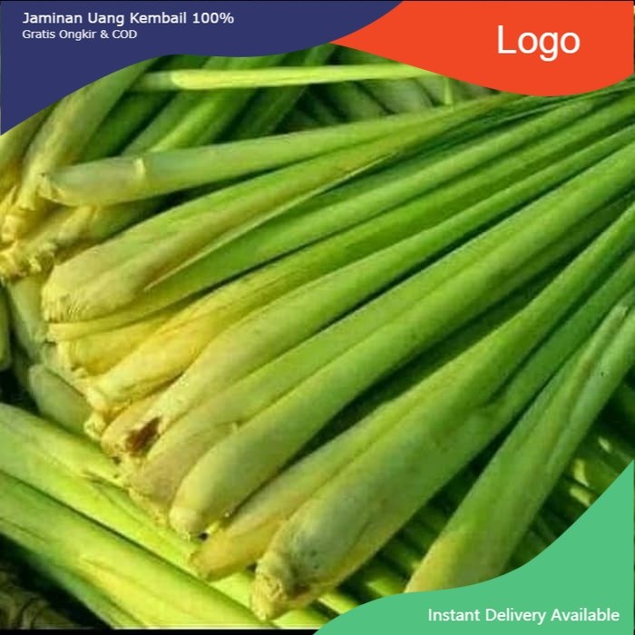 

New Promo Sereh wangi - sereh bumbu masak 1 kg