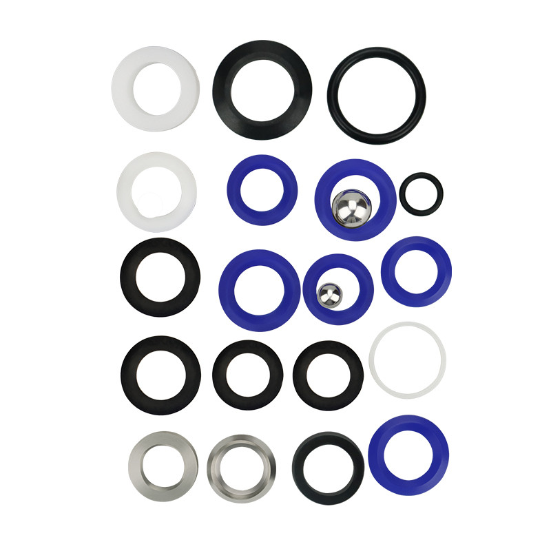 

244194 Pump Repair Packing Valves Kit, for G r a c 210 230 295 390 395 490 495 595 Airless Paint Spray Aftermarket