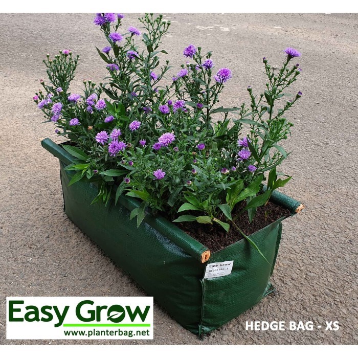 PLANTER BAG EASY GROW PLANT SIZE: XS, S, M, L HIJAU POT TANAMAN KOTAK