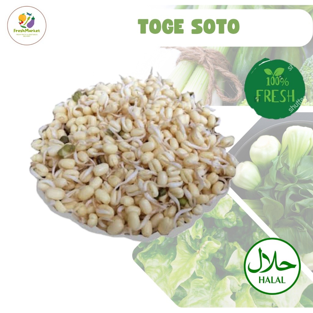 

Toge Soto Tauge Kecambah Segar 250 Gram Sayurinstant