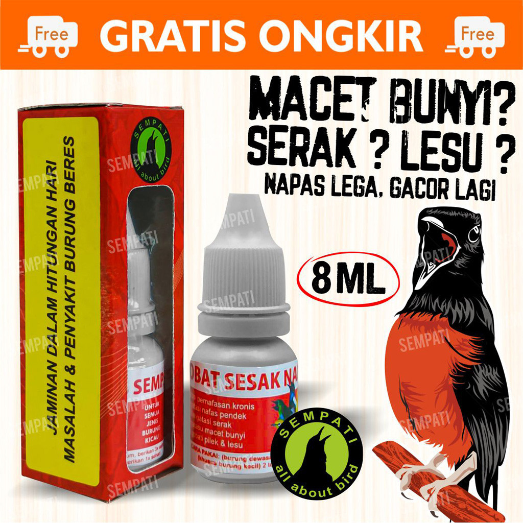 SEMPATI OBAT SESAK NAFAS SEMPATI MENGOBATI BURUNG GANGGUAN PERNAFASAN SERAK MACET BUNYI MURAI KACER 