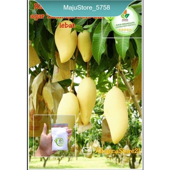 Pupuk perangsang buah/pupuk pelebat buah/PUPUK AGRO/Pupuk agro bibit/PUPUK BUAH/PUPUK AJAIB/PUPUK PE