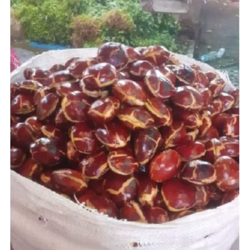 

JENGKOL TUA / 1KG/ MURAH MERIAH /FRESH/MANTAP