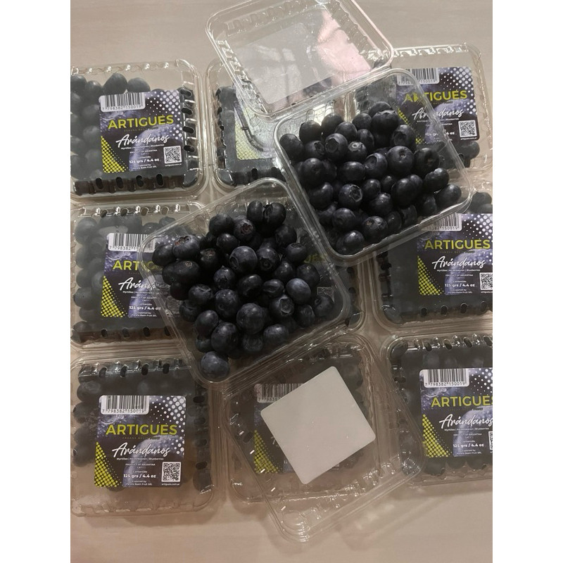 Buah Blueberry 125 gram per pack Segar manis Fresh enak